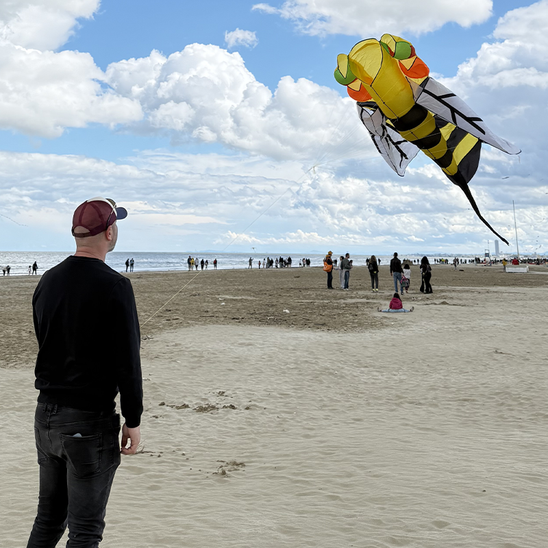 Šarkan 3D Včela delta žlutočerný