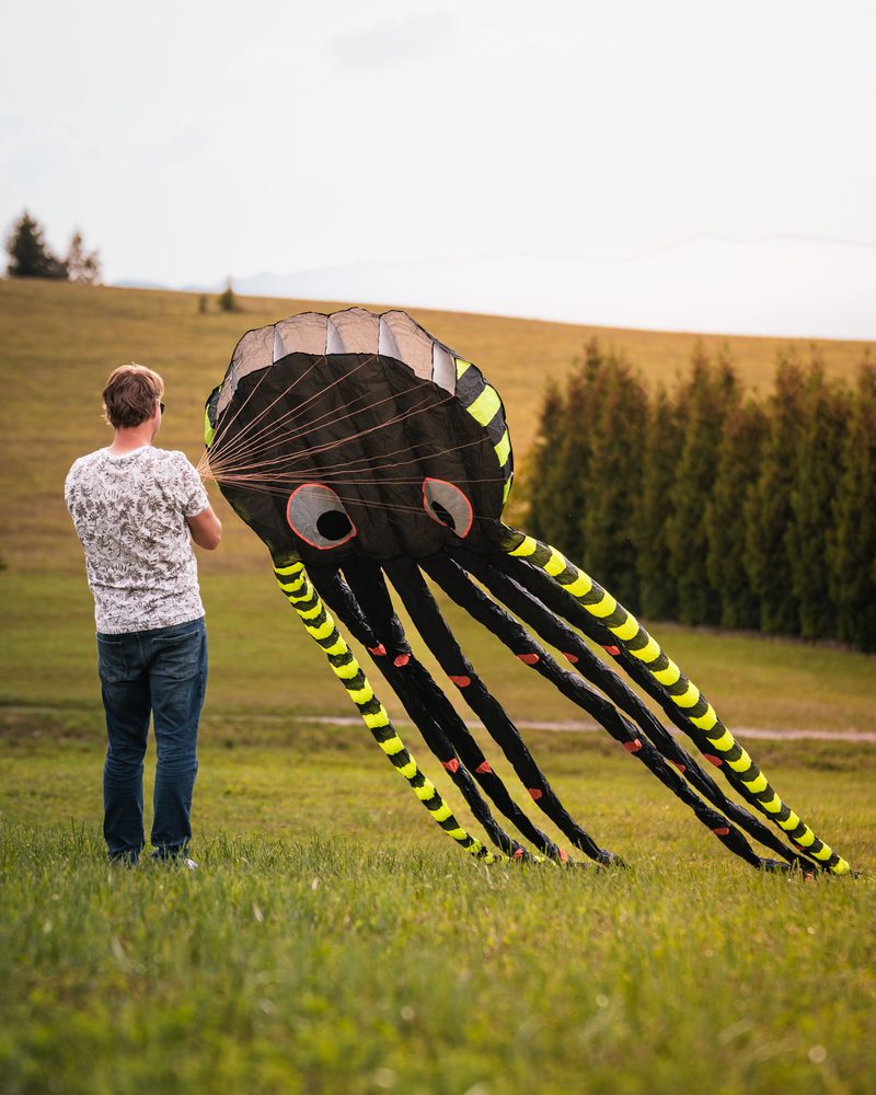 Veľký 3D šarkan medúza Veľký 3D šarkan medúza